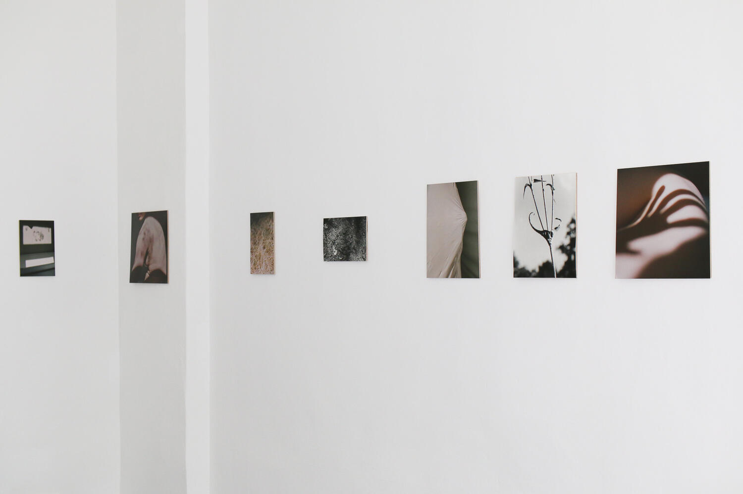 Free Thoughts & The Mud